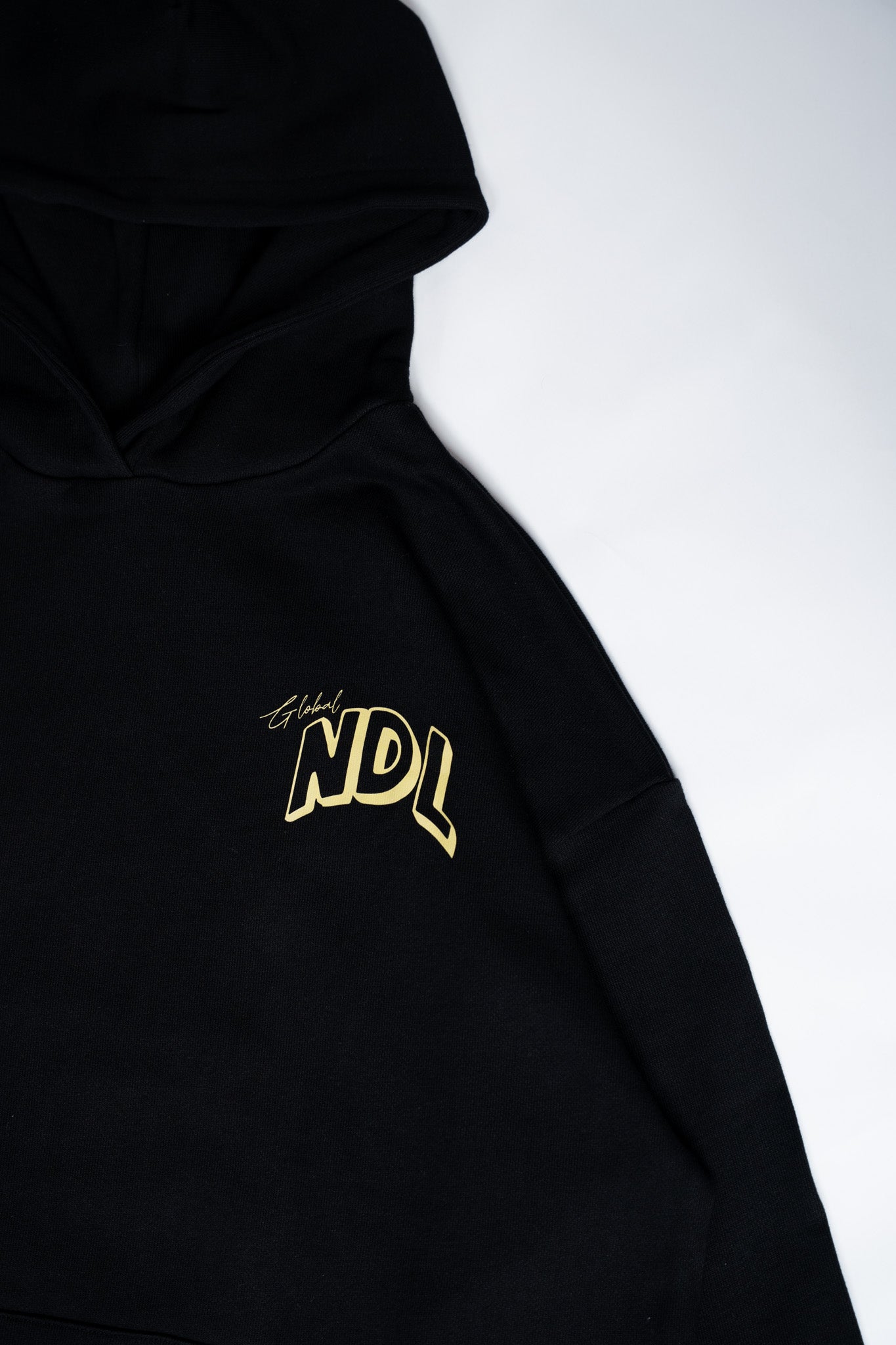 World Tour Hoody